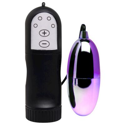 Deluxe Multi Speed Bullet Massager Purple