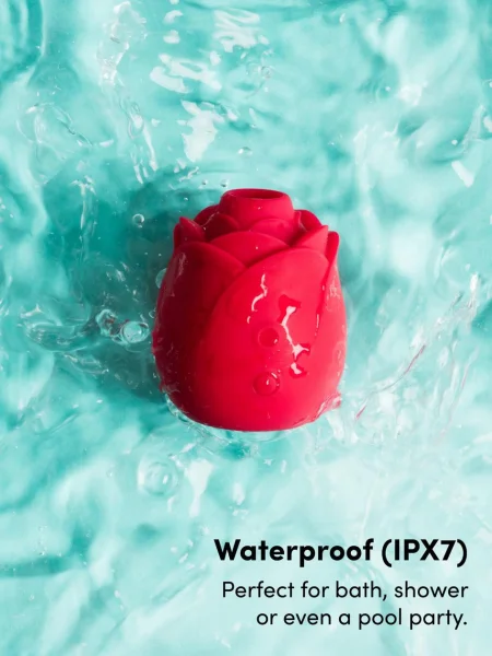 Lovehoney mon ami Pleasure Air Rose Clitoral Suction Stimulator