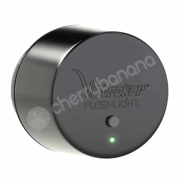 Fleshlight Vstroker Virtual Sex Adapter