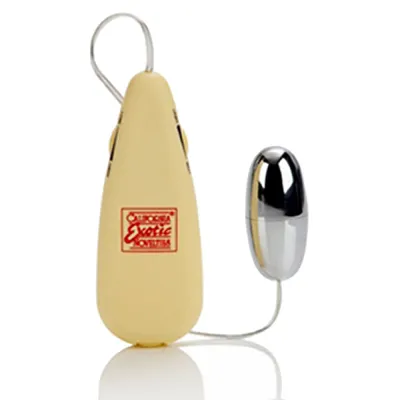 California Exotic Pocket Exotics Vibrating Silver Bullet PACK OF 2