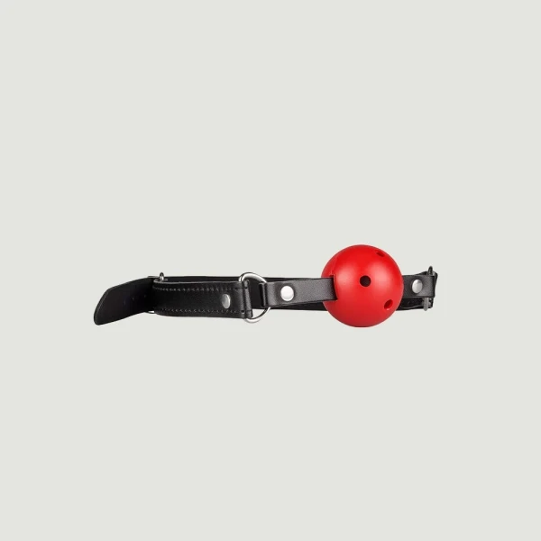 Secret Pleasure Chest Red Dragon Bondage Set