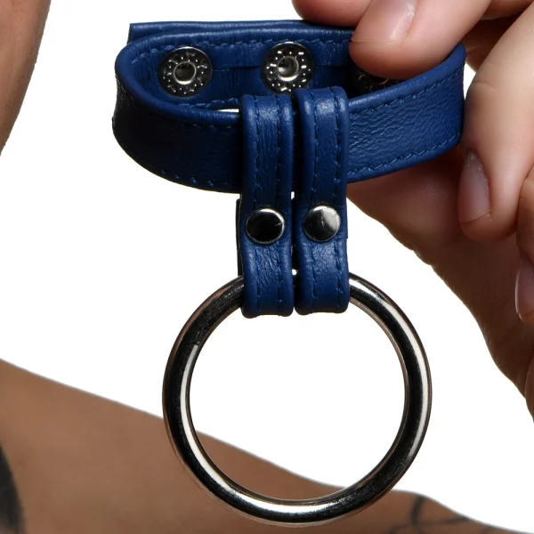 Strict Leather and Steel Cock & Ball Ring