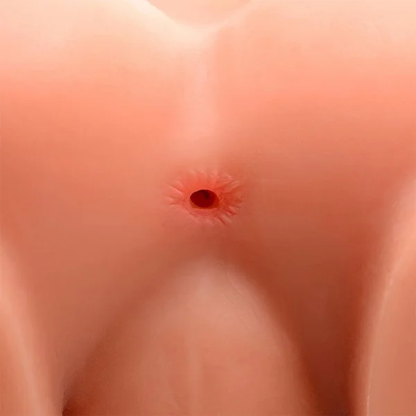 Double Up Dennis Realistic 3D Cock and Ass Sex Doll Torso by SexFlesh — image 4 of 5