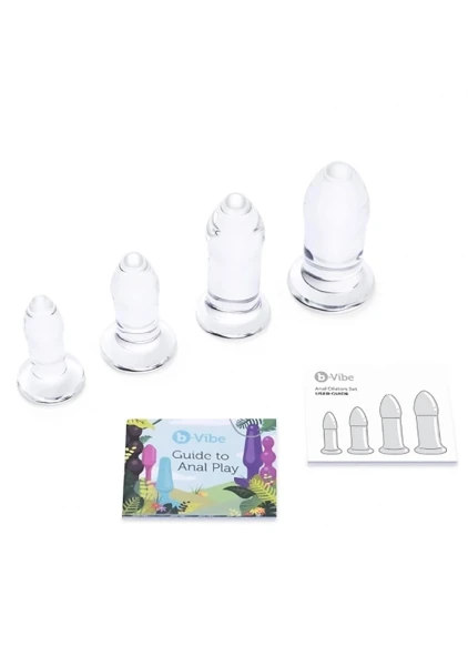 Glass Anal Dilator 4 Piece Set