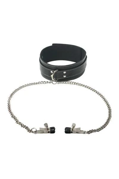Coveted Collar And Clamp Union