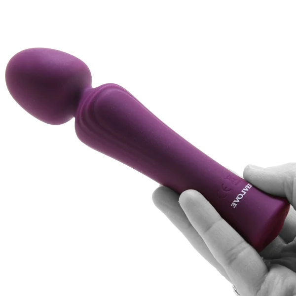 Evolved Novelties My Secret Wand Massager