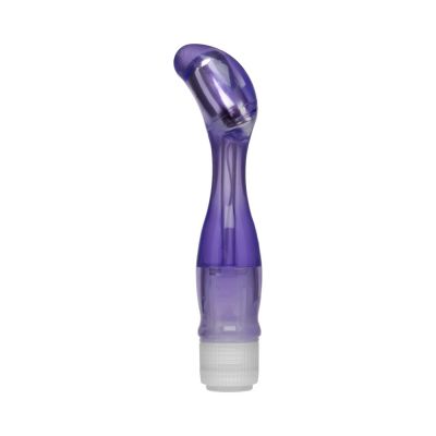 Lucid Dream No 14 Multi Speed Waterproof G Spot Vibrator Purple