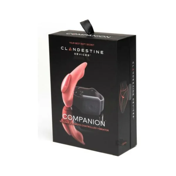 The Companion Remote Control Panty Vibe — image 4 of 4