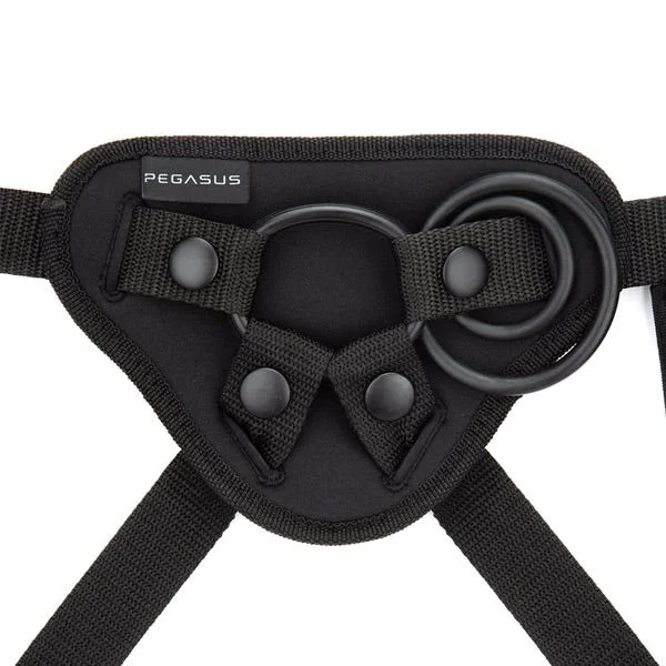 Pegasus 6in RC Curved Ripple + Harness