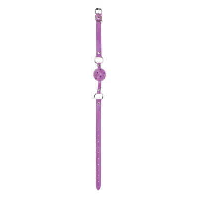 Gag Ball Purple