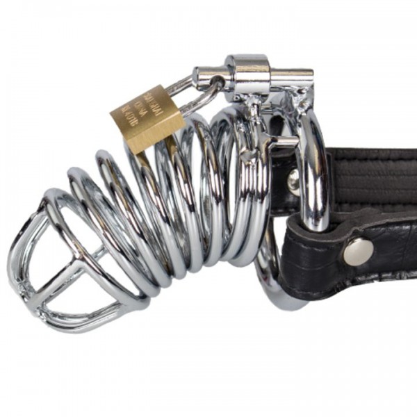 Fetish Fantasy Extreme Chastity Belt and Cock Cage — image 8 of 10