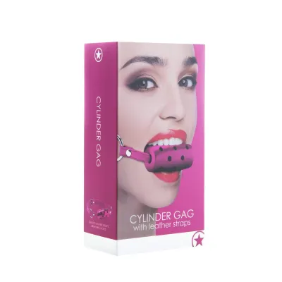 Cylinder Gag Pink