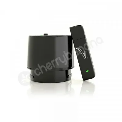 Fleshlight Vstroker Virtual Sex Adapter
