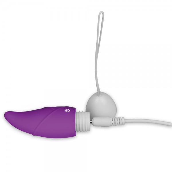 iJOY Remote Control Egg Vibrator