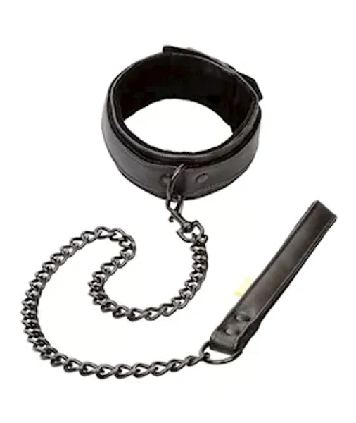 Boundless Collar and Leash — image 25 of 25