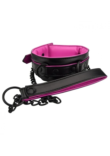 Fishnet Collar and Leash