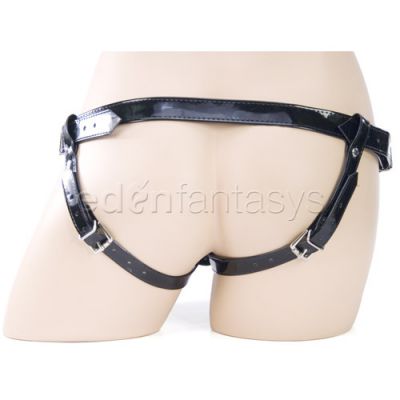 Black cat harness