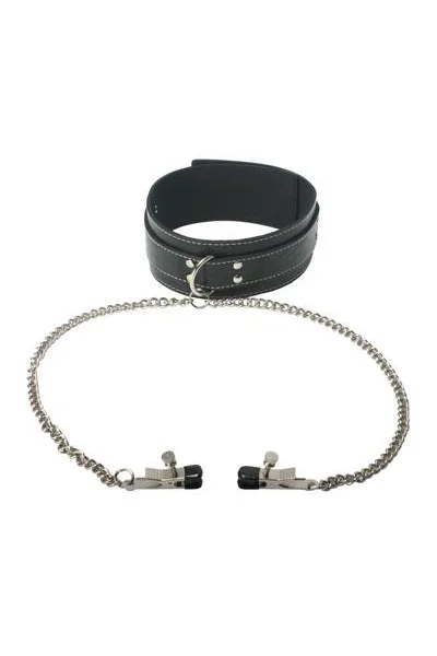 Coveted Collar And Clamp Union