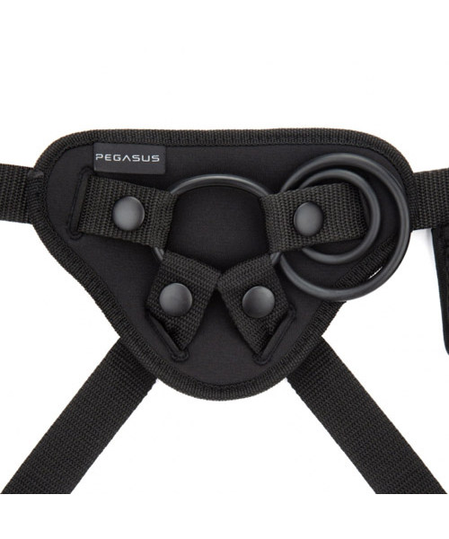 Pegasus 6” p-spot & g-spot pegging set