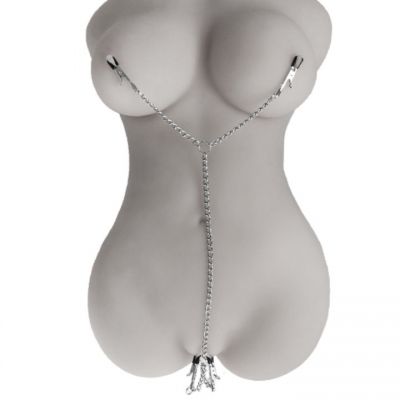 Nipple and Vagina Harness