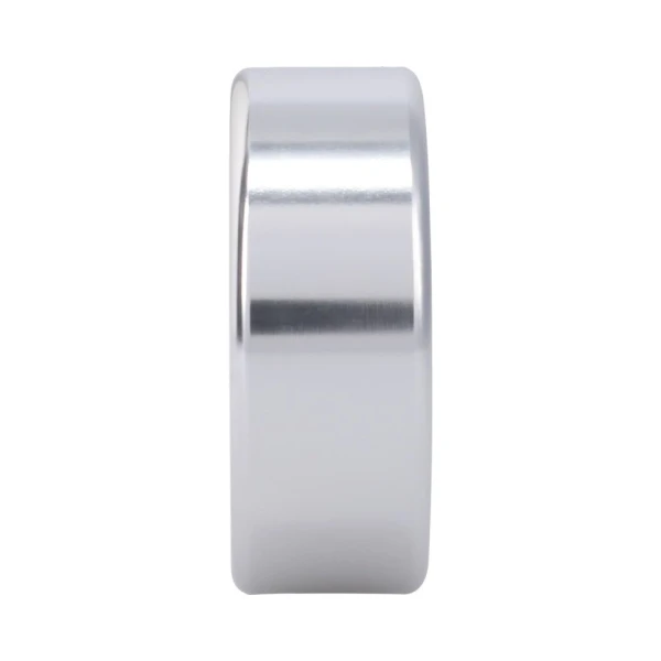 Rock Solid Brushed Alloy Large (1.75in X .75in) Silver