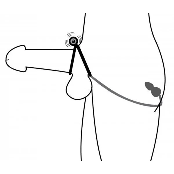 Prostatic Play Voyager 1 Vibrating Cock Ring Anal Plug