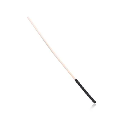 Sturdy Discipline Cane Black