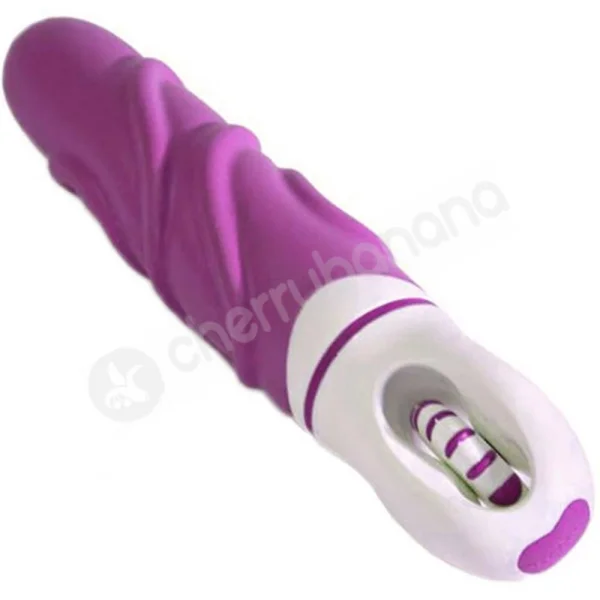 Silicone Roulette Lucky 11 Purple Vibrator