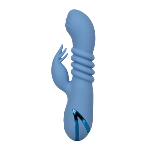 California Dreaming Santa Cruz Coaster