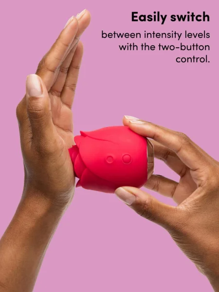 Lovehoney mon ami Pleasure Air Rose Clitoral Suction Stimulator