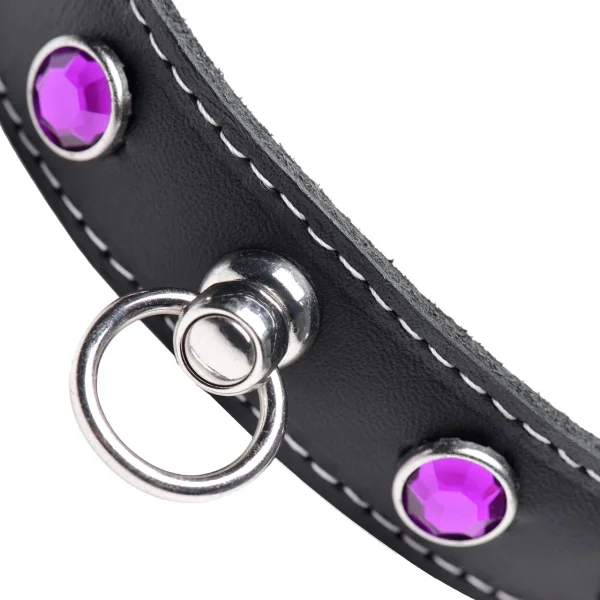 Master Series Leather Collar With Rhinestones - Purple
