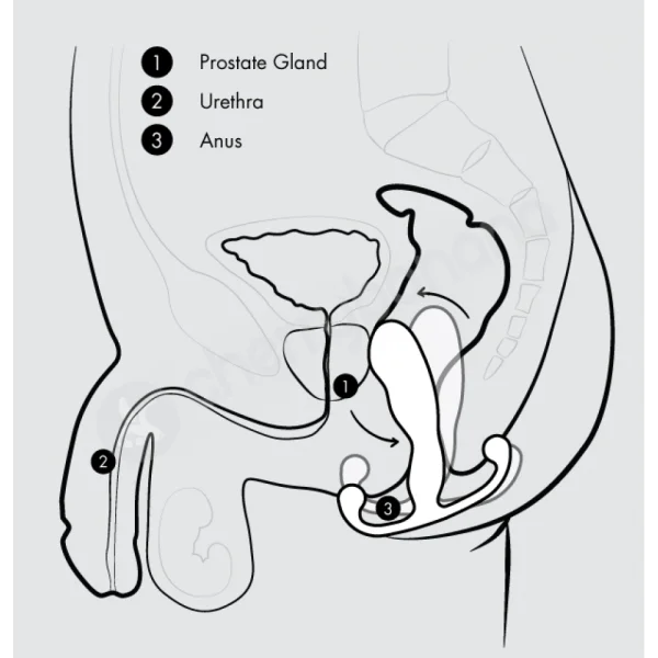 Aneros MGX Trident White Male Prostate Massager