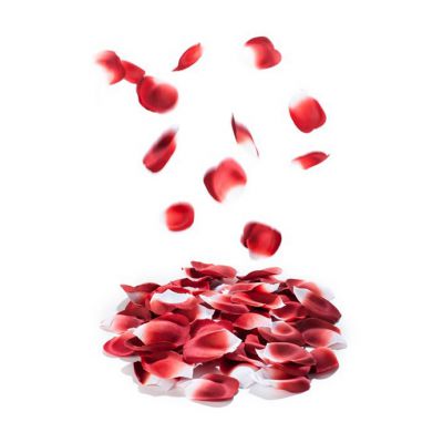 Rose Petal Explosion