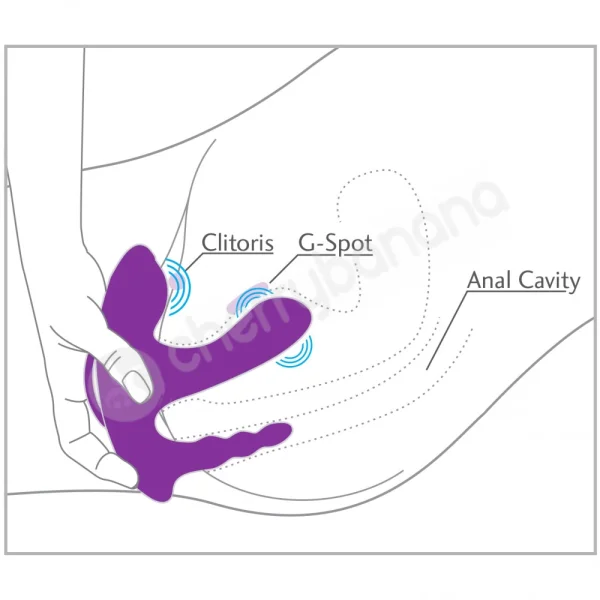 3some Rock N Ride Purple USB Rechargeable Stimulator with Remote