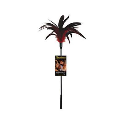 Starburst Tickler Various 15 Inch