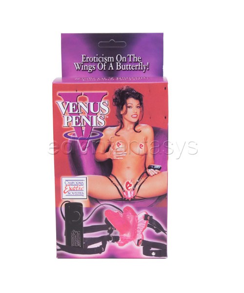 Venus penis