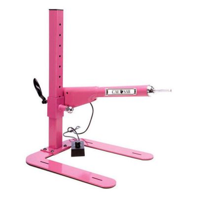 Caesar 2 0 Sex Machine
