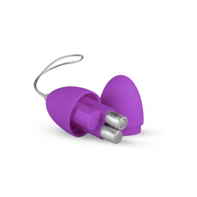 Easy Toys Vibrating Egg With Remote