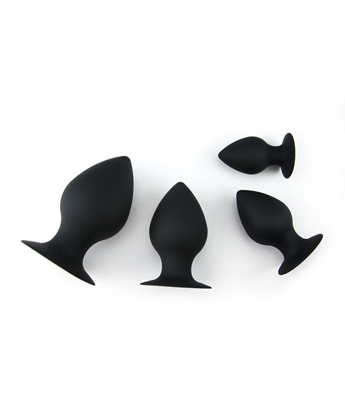 4 step anal training system