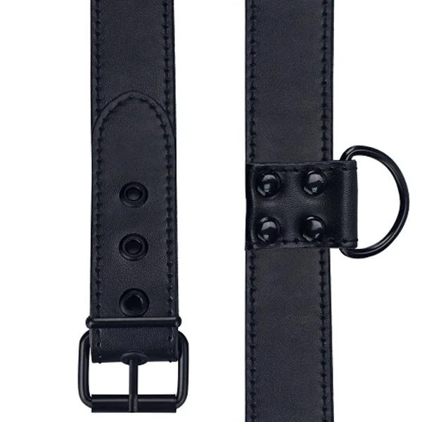 Bondage Fetish Matte Black Collar and Leash