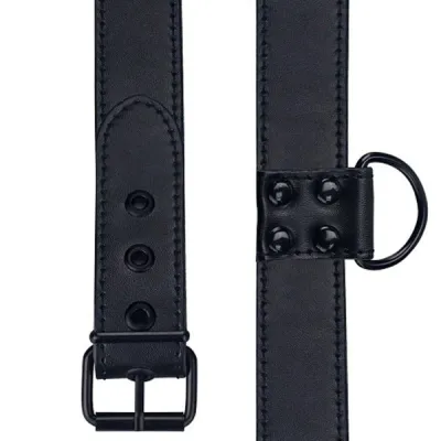 Bondage Fetish Matte Black Collar and Leash
