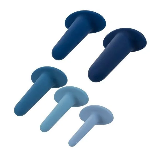 They-Ology 5 Piece Wearable Anal Training Set