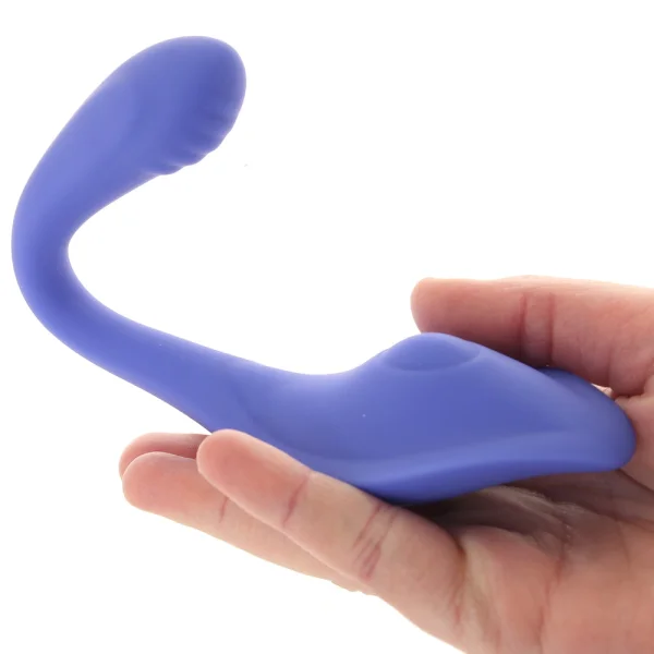 Evolved Anywhere Vibe