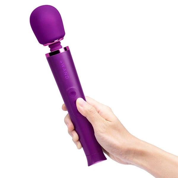 Le Wand Petite Wand Massager