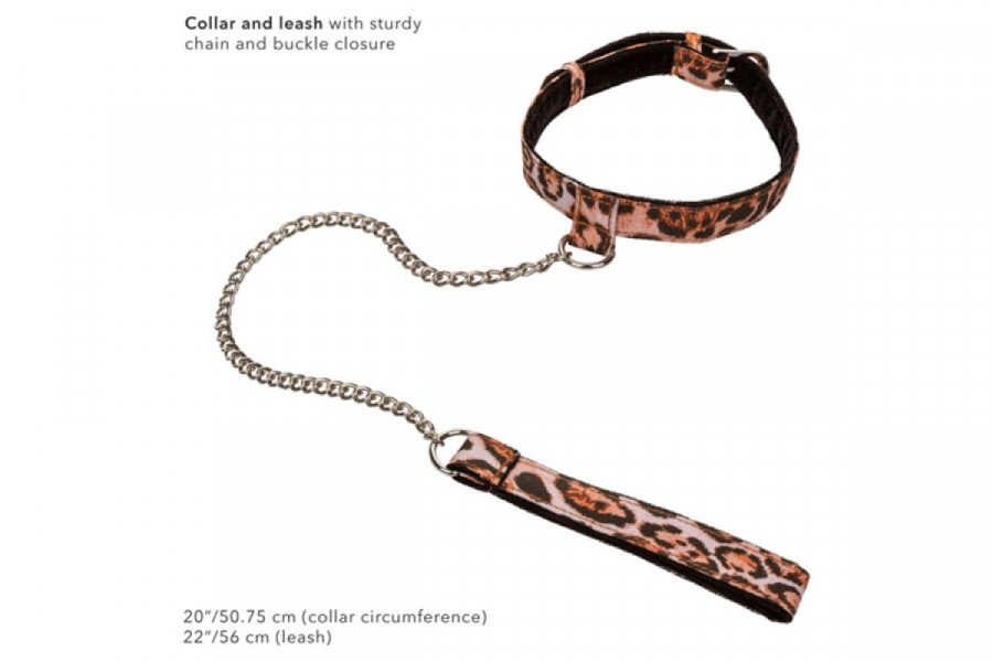 Unleashed Adventure Set