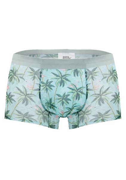 Sheer Prints Boxer Short - Flamingos