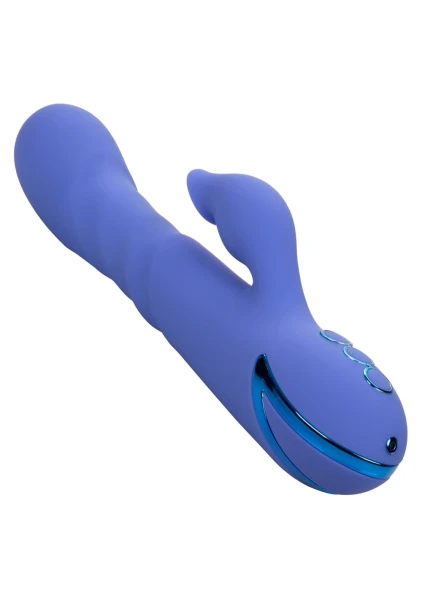 California Dreaming L.a. Love