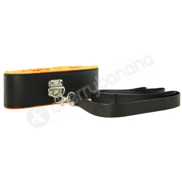 Orange is the New Black - Short Leash