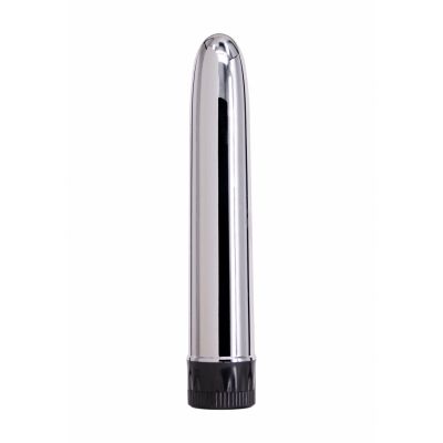 multi speed Vibrator Silver Mini Bullet Vibrator
