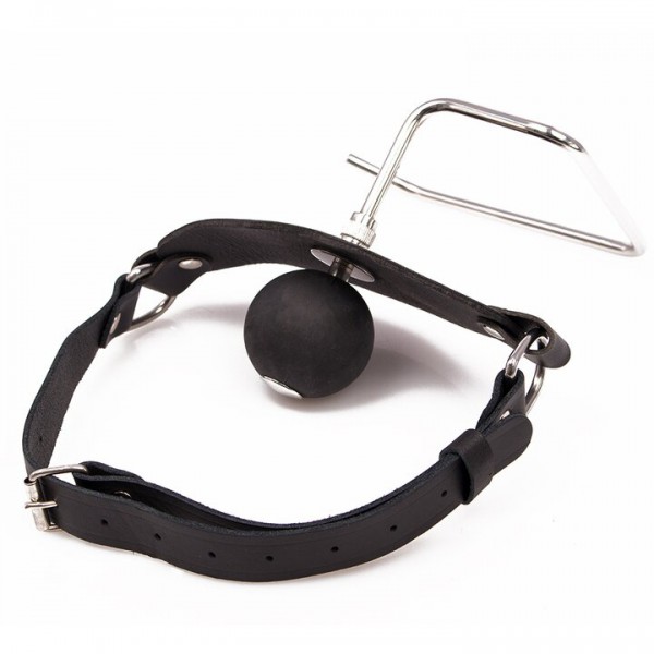 Toilet Slave Paper Dispenser Mouth Gag — image 4 of 5
